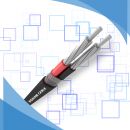 Aluminum Core 2 Phase Concentric cable